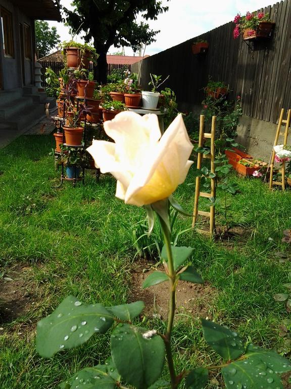 Vilele Brise De Mer Două Mai Exterior foto