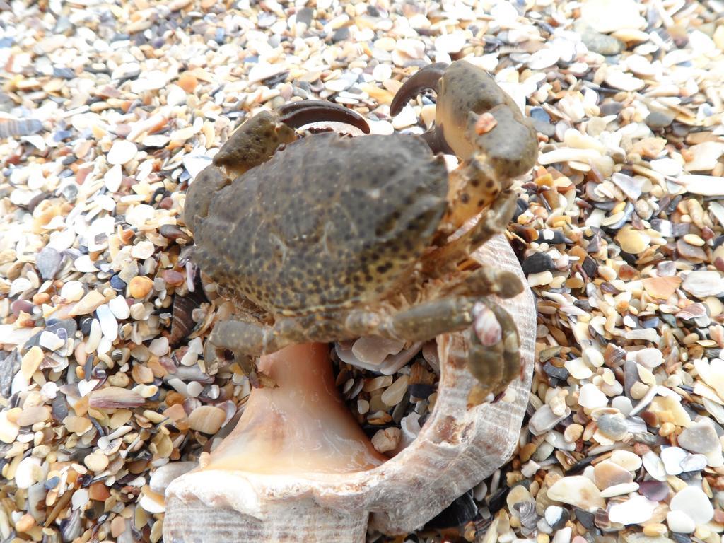 Vilele Brise De Mer Două Mai Exterior foto
