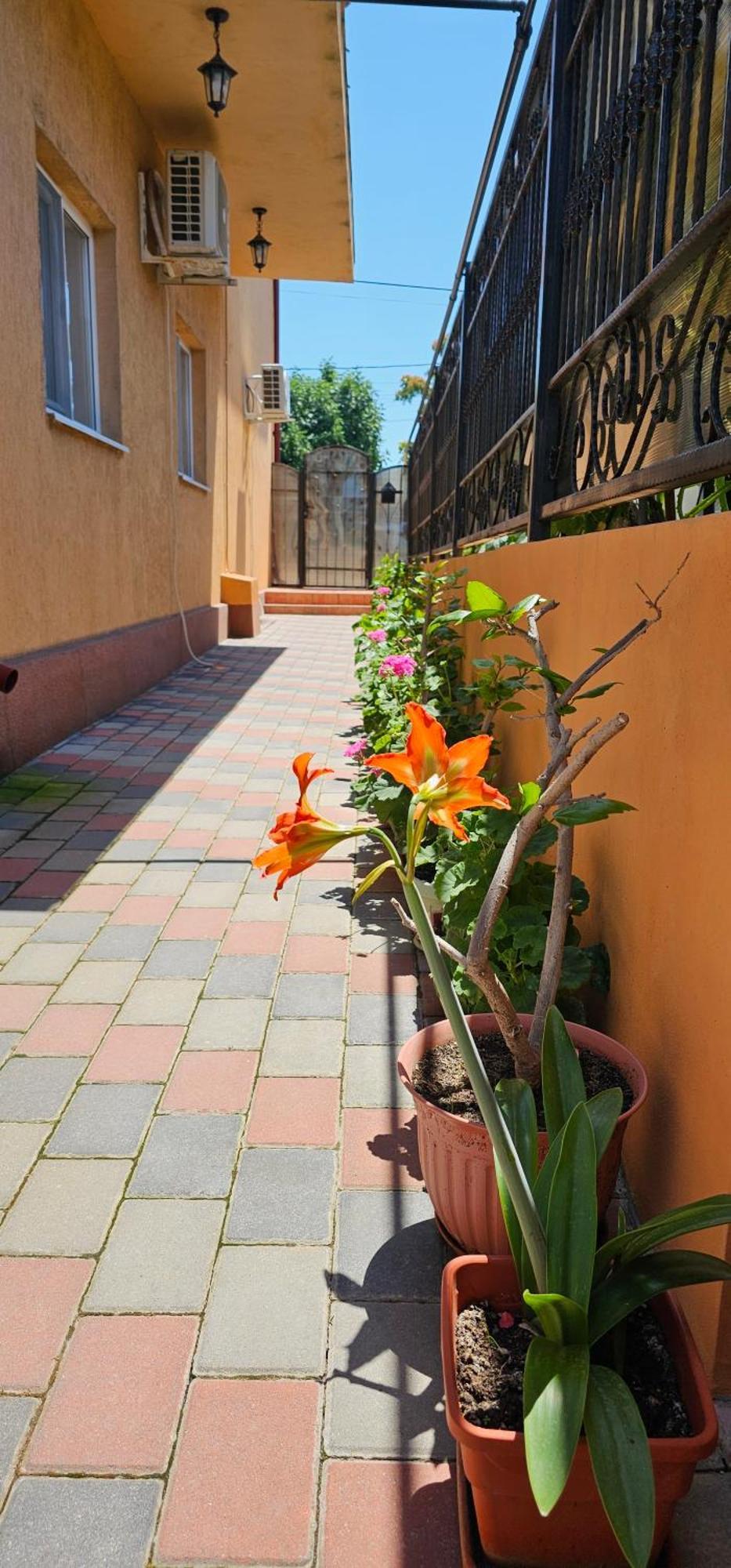 Vilele Brise De Mer Două Mai Exterior foto